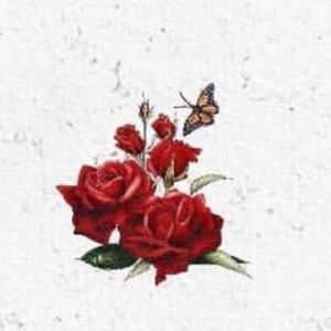 Meet your Posher, Zoe